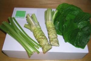 Fresh wasabi